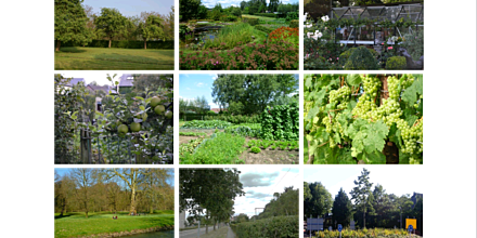 Bodemvruchtbaarheid van tuinen en openbaar groen Kaft