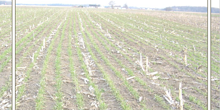 Handboek organische stof Kaft